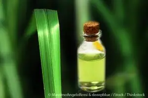 Java Vetiver Essential Oil