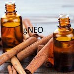 Cinnamon Bark Essential Oil
