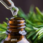 Rosemary Essential Oil (ct. Camphor) (Spain) (Organic)