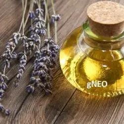 Organic Lavandin Grosso Essential Oil
