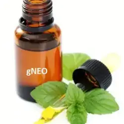 Light Patchouli Essential Oil