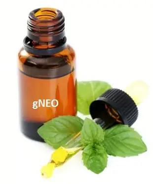 Light Patchouli Essential Oil