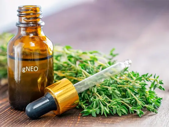 Red Thyme Essential Oil