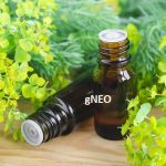 Cypress Essential Oil