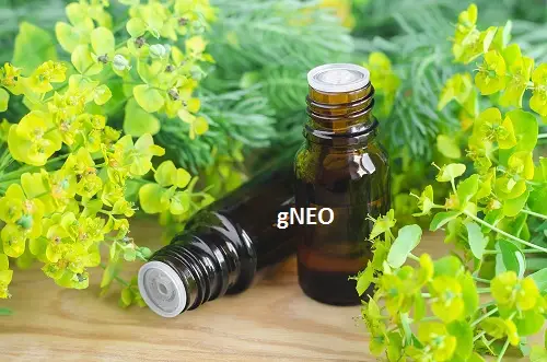 Cypress Essential Oil