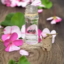 Organic Geranium Essential Oil