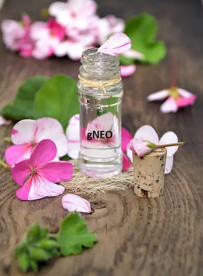 Organic Geranium Essential Oil