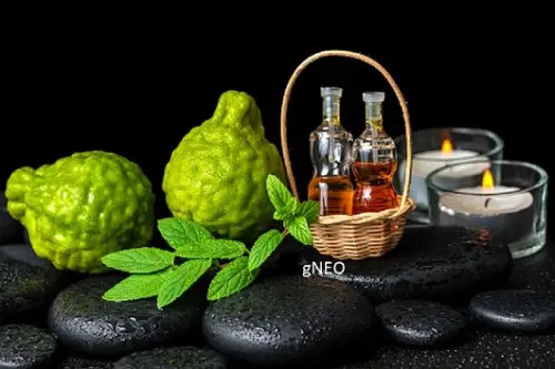 Bergamot Essential Oil