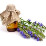 Hyssop Essential Oil ct Cineole (Organic)