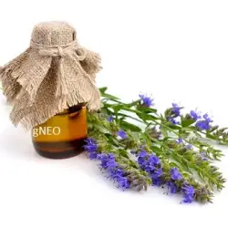 Organic Hyssop Essential Oil