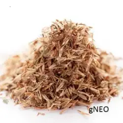 Palmarosa Essential oil