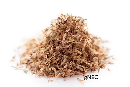 Palmarosa Essential oil