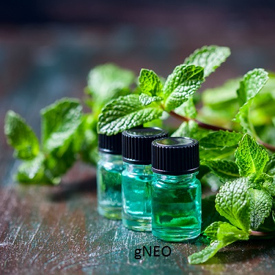 Organic Rectified Peppermint Essential Oil