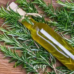 Rosemary Essential Oil