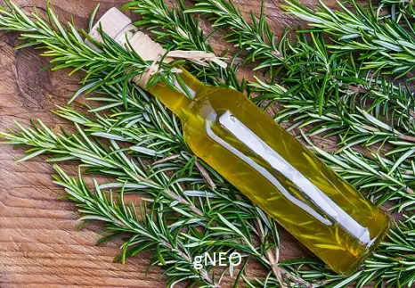 Rosemary Essential Oil