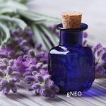 Lavender (Spike) Essential Oil (Organic)