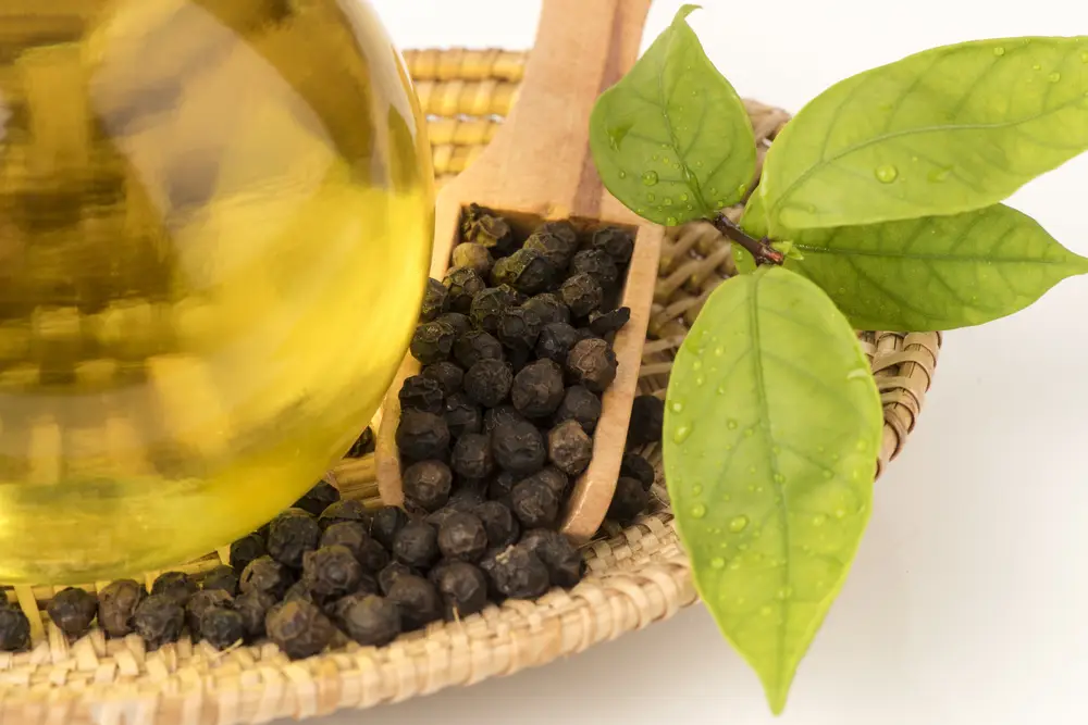 Black Pepper oil