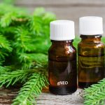 Fir Balsam Essential Oil