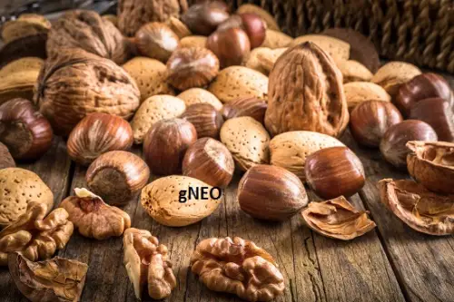 Organic Carrier Oils