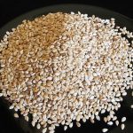 Sesame Seed Oil (Organic)