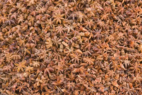 Star Anise Essential Oil