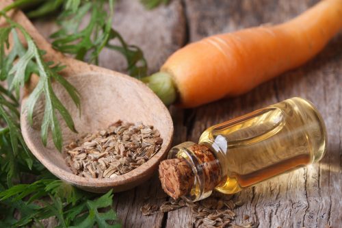 carrot seed essential oil