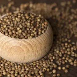 Coriander Seed Essential Oil