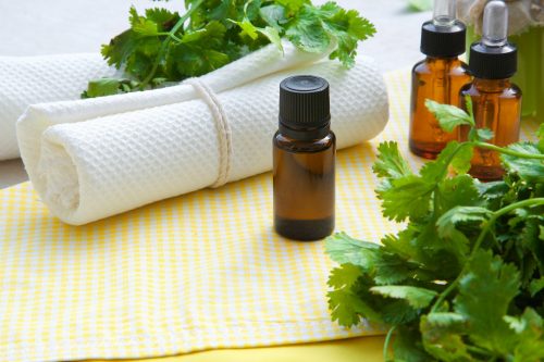 coriander leaf essential oil
