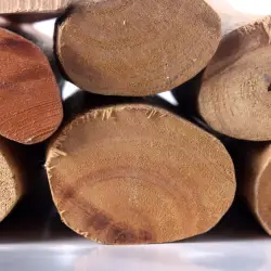 Organic Rosewood Essential Oil