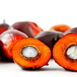 Palm kernel oil RBD