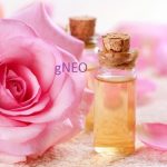 Rose Essential Oil (Bulgaria)