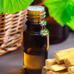 Palo Santo Essential Oil