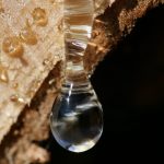 Styrax Essential Oil