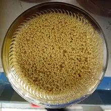 Soy Lecithin Organic