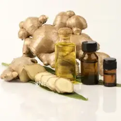 Ginger Oil Co2