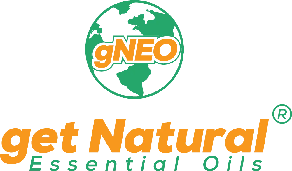 GNEO_logo2 (1) GNEO2