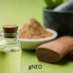 Sandalwood Vanilla