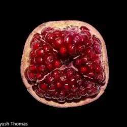 Pomegranate