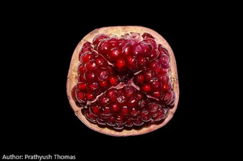 Pomegranate