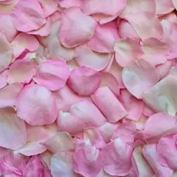 Rose Petals Fragrance Oil