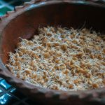 Wheat Germ Oil (Refined)