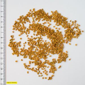 Fenugreek Seed oil