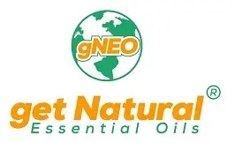 gNEO logo smaller