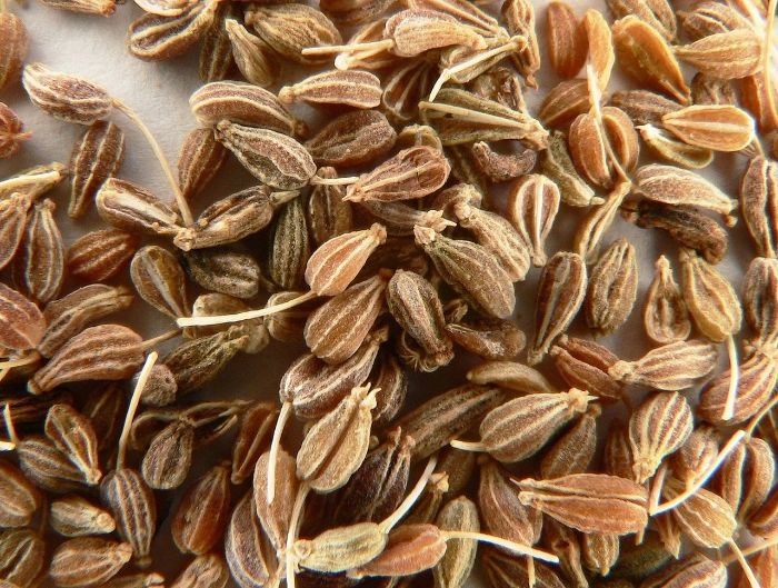Anise Seed Essential Oil (Organic)