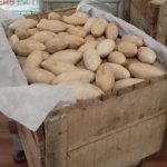 Kokum Butter (Refined)