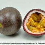 Passion Fruit Seed Oil (Virgin)