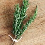 Rosemary Essential Oil (CO2)