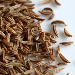 Caraway Seed Essential Oil