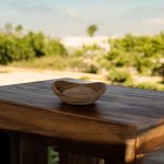 Tetrasodium Glutamate Diacetate